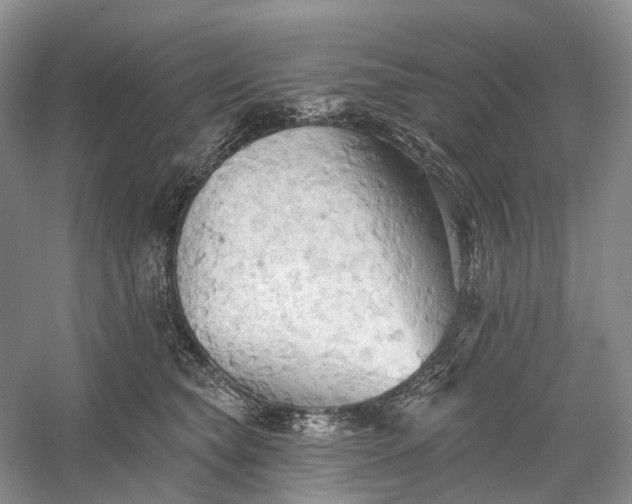 X0000060560565200511171608