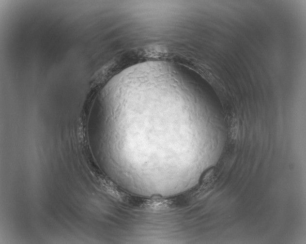 X0000060560569200511171608