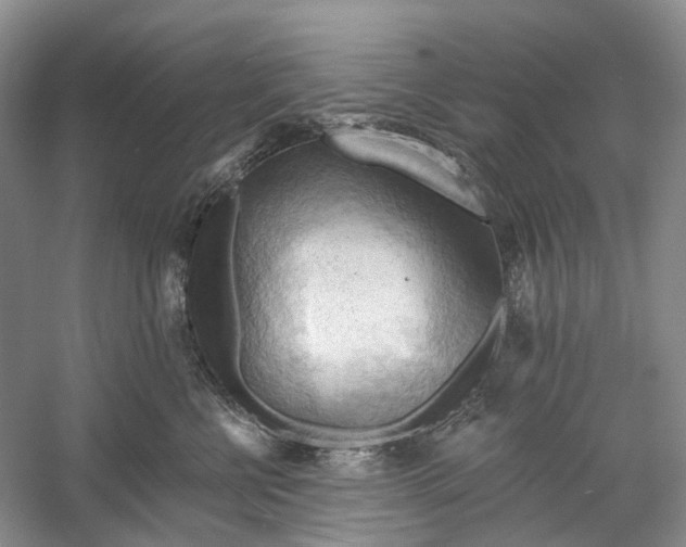 X0000060560570200511171608