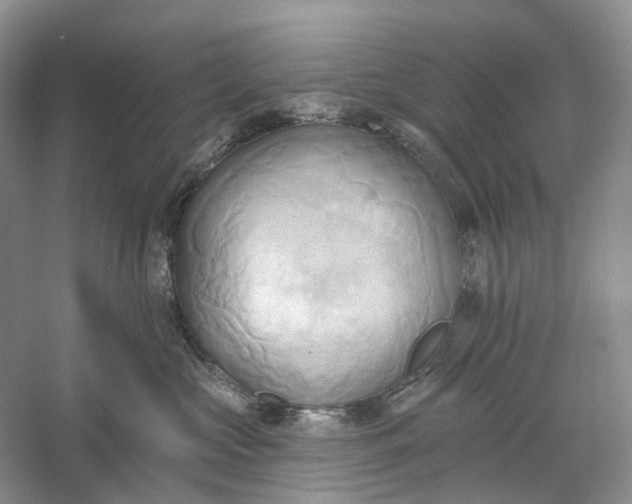 X0000060560573200511171608