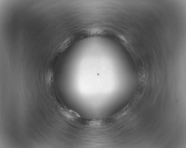 X0000060560574200511171608