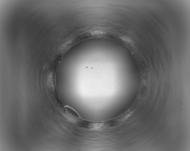 X0000060560575200511171608