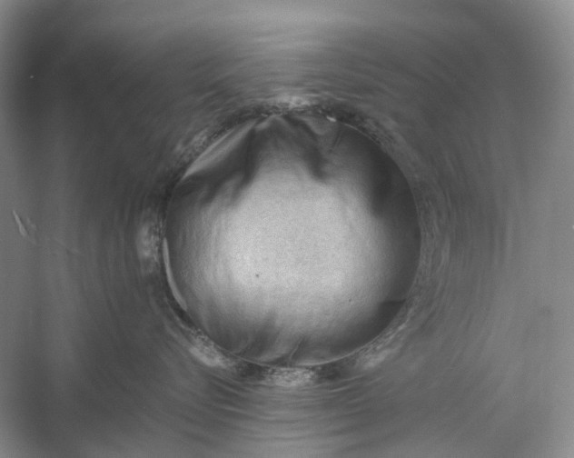 X0000060560576200511171608