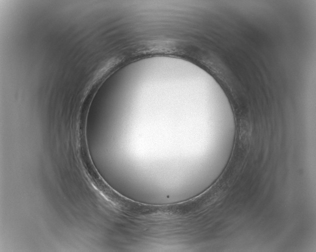 X0000060560578200511171608