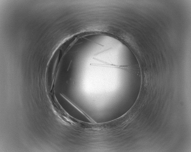 X0000060560580200511171607