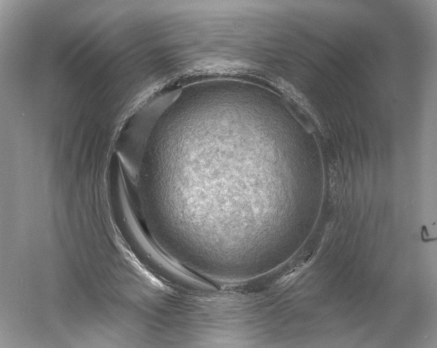 X0000060560581200511171607
