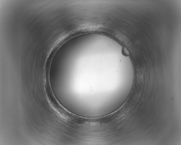 X0000060560582200511171607