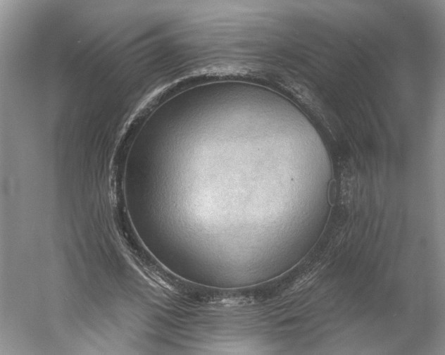 X0000060560584200511171607