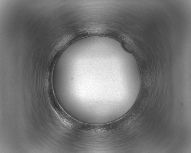 X0000060560586200511171607