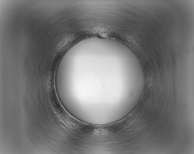 X0000060560591200511171607