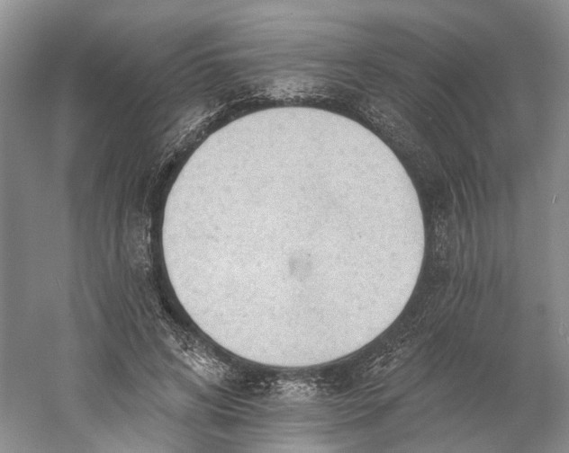 X0000060560592200511171607