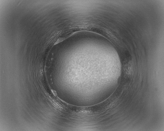 X0000060560593200511171607