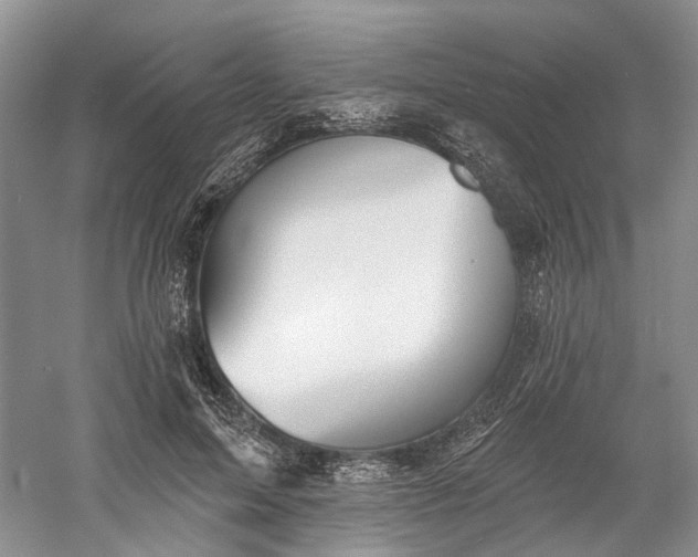 X0000060560599200511171607