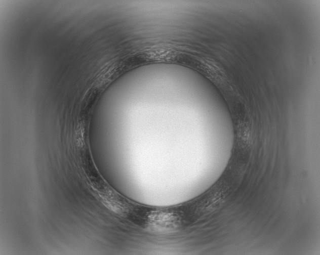 X0000060560602200511171607