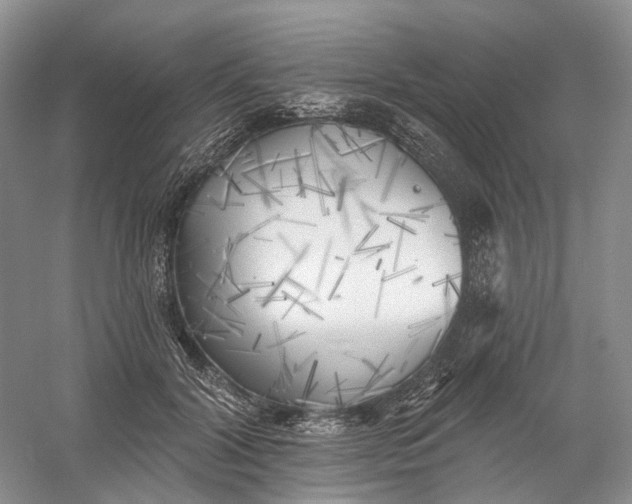 X0000060560604200511171607