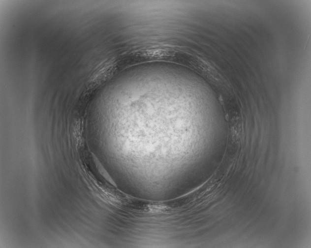 X0000060560605200511171607