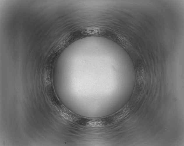 X0000060560606200511171607