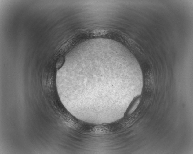 X0000060560608200511171607