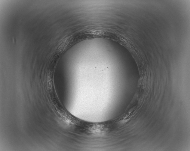 X0000060560609200511171607