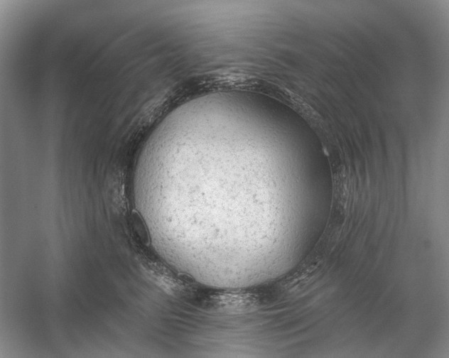 X0000060560615200511171607