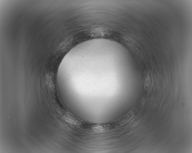 X0000060560616200511171607