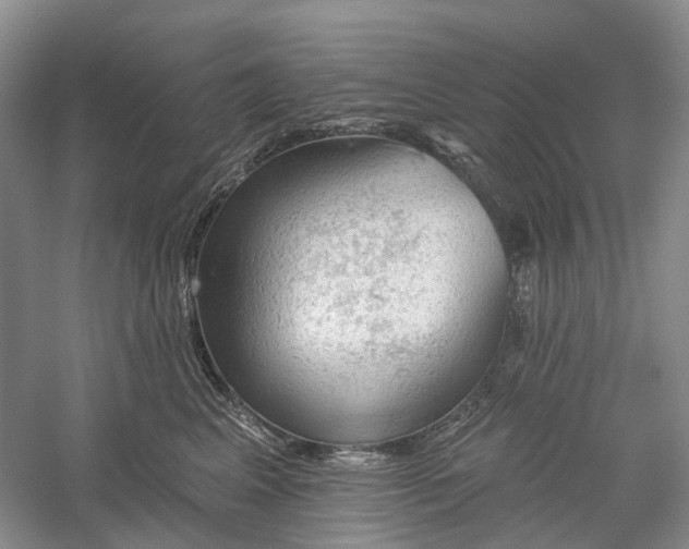 X0000060560617200511171607