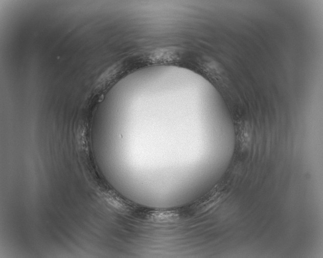 X0000060560619200511171607