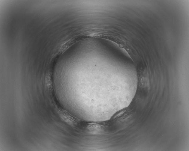 X0000060560620200511171607