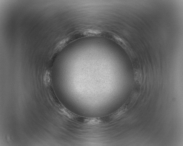 X0000060560621200511171607
