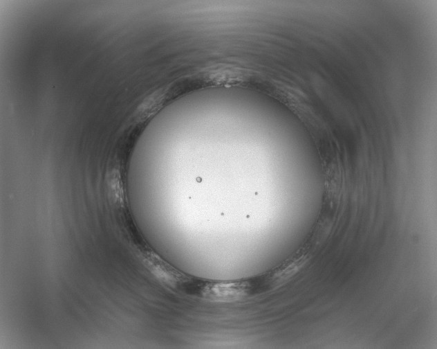 X0000060560622200511171607