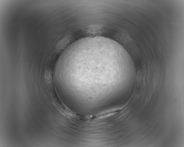 X0000060560623200511171607