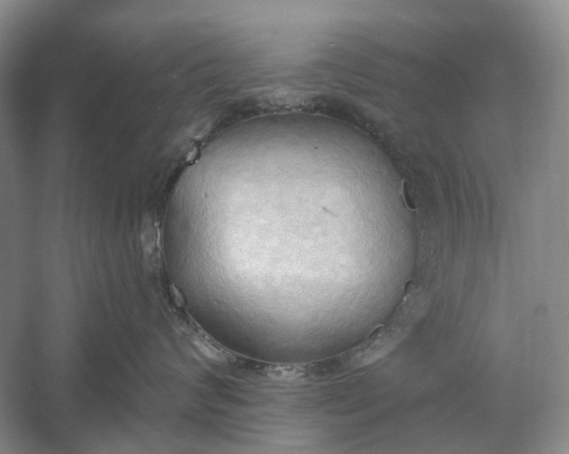 X0000060560624200511171607