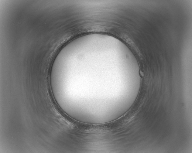 X0000060560625200511171606