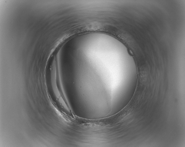 X0000060560626200511171606