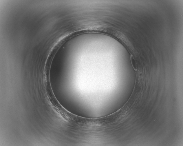 X0000060560628200511171606