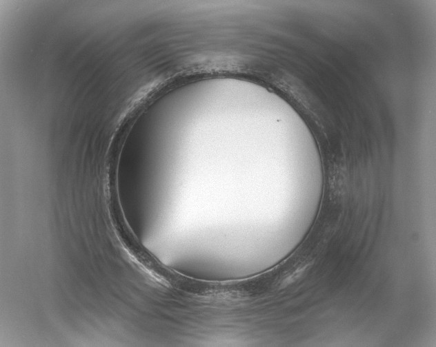 X0000060560629200511171606