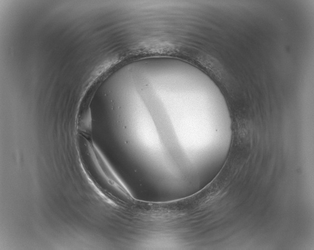 X0000060560630200511171606