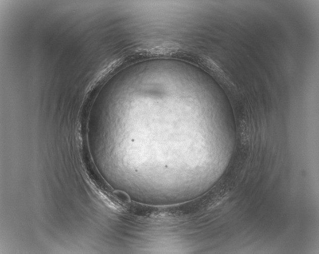 X0000060560634200511171606