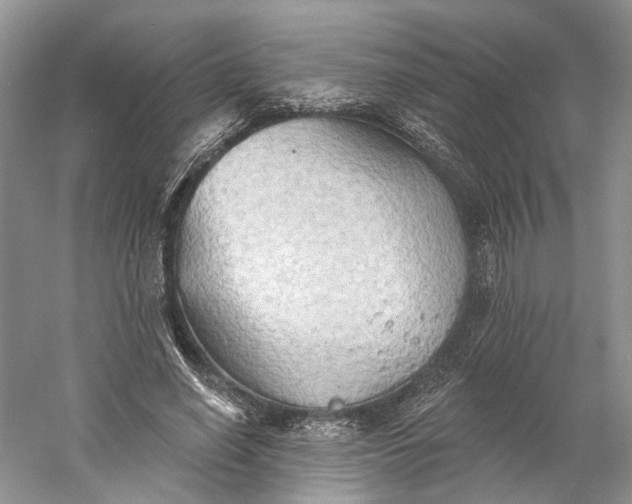 X0000060560638200511171606