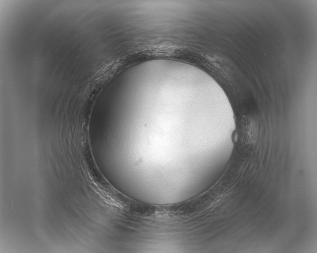X0000060560641200511171606