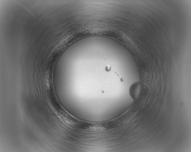 X0000060560644200511171606
