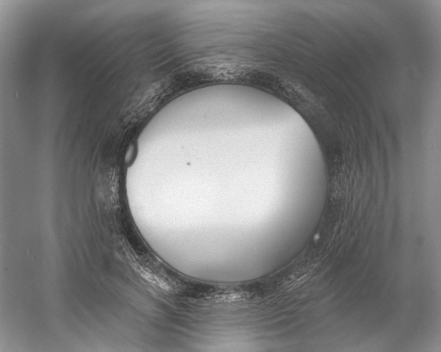 X0000060560646200511171606