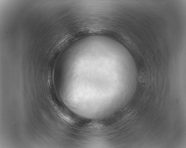 X0000060560648200511171606