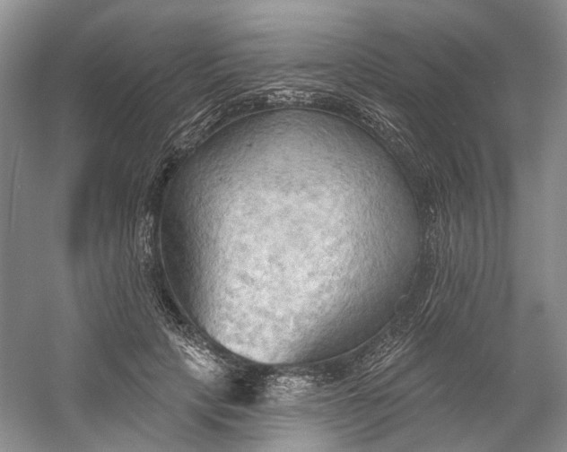 X0000060560649200511171606
