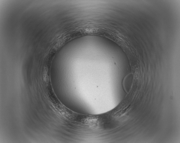 X0000060560651200511171606