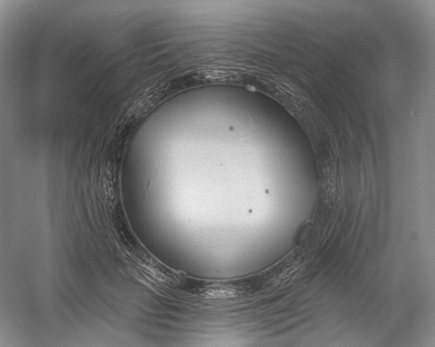 X0000060560653200511171606