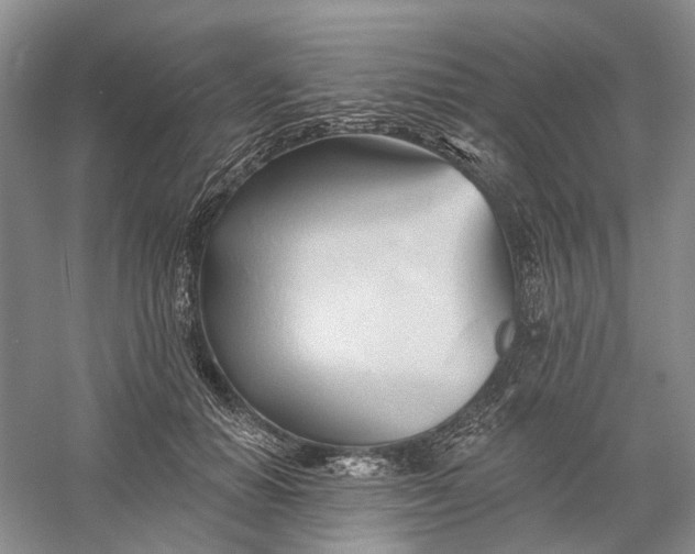 X0000060560654200511171606