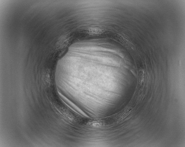 X0000060560655200511171606