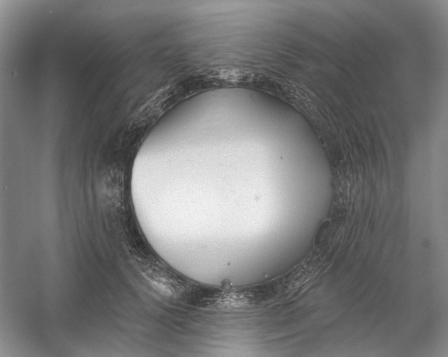 X0000060560656200511171606