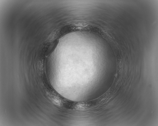 X0000060560657200511171606